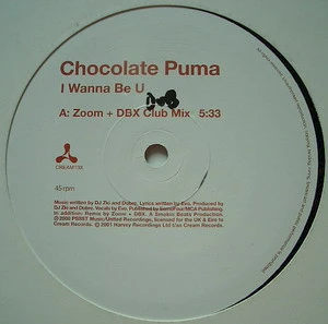 I Wanna Be U (Zoom + DBX Remixes)